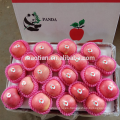 Yantai Fresh Sugar Apple en venta en es.dhgate.com